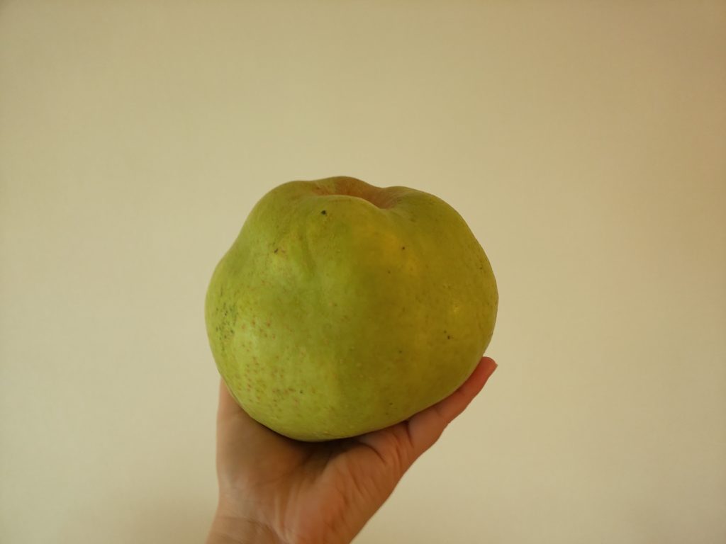 大きなかおり梨